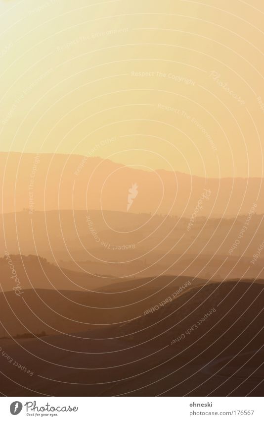 Toskanisches Abendrot Farbfoto Außenaufnahme Menschenleer Textfreiraum oben Dämmerung Licht Schatten Kontrast Silhouette Sonnenlicht Sonnenaufgang