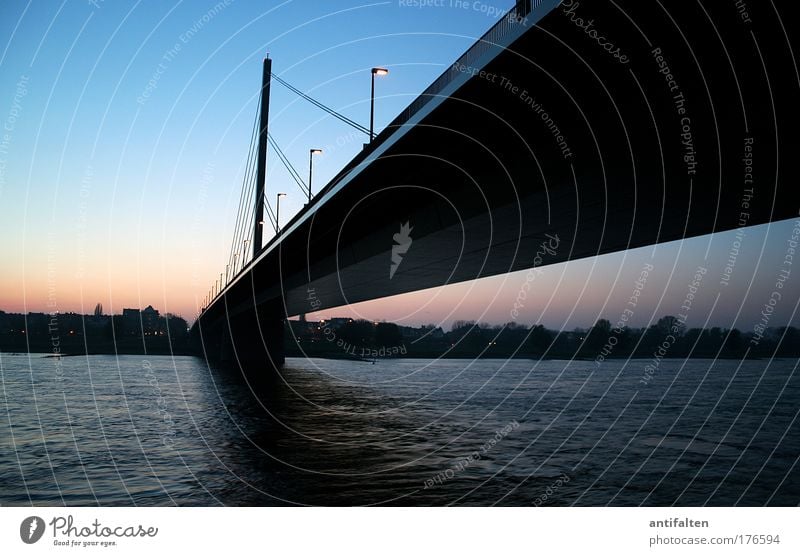 Die Oberkasseler Städtereise Düsseldorf Brücke Natur Wasser Himmel Wolkenloser Himmel Nachthimmel Horizont Fluss Rhein Rheinwiesen Stadt Stadtzentrum