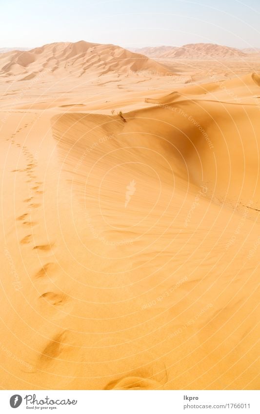 Outdoor-Sanddüne in Oman alten Wüste Rub al Khali schön Ferien & Urlaub & Reisen Tourismus Abenteuer Safari Sommer Sonne Natur Landschaft Himmel Horizont Park
