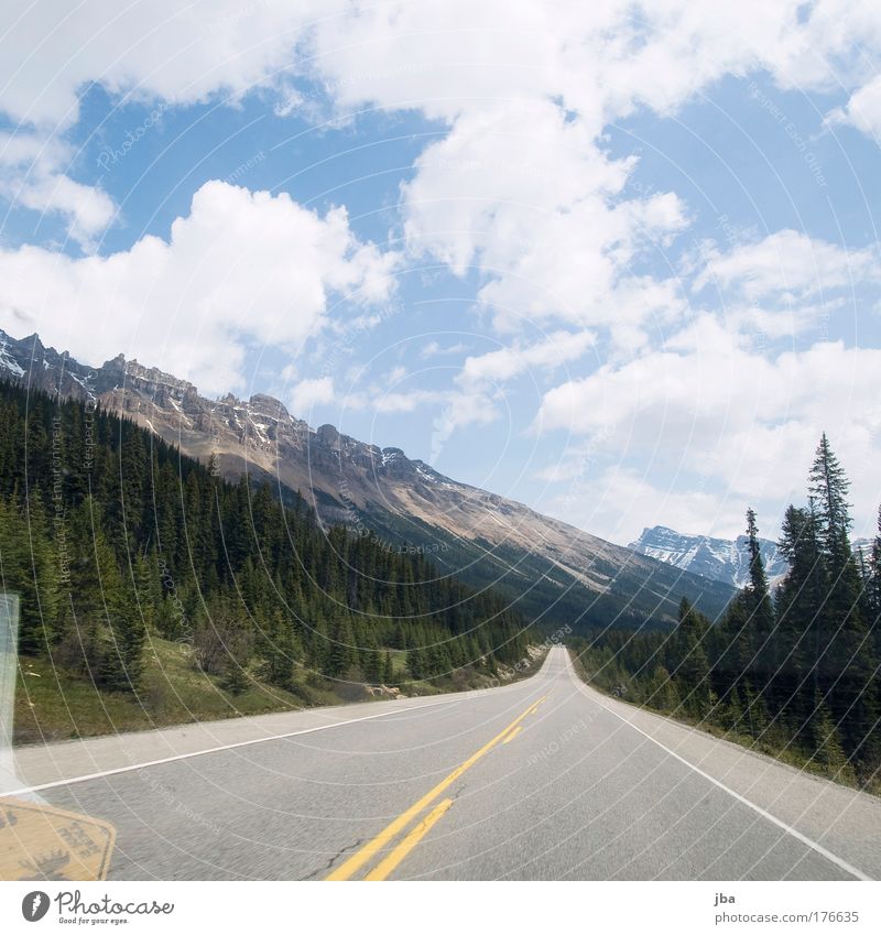 Icefield Parkway Farbfoto Außenaufnahme Menschenleer Tag Sonnenlicht Ferien & Urlaub & Reisen Tourismus Ferne Freiheit Sommer Landschaft Himmel Wolken Tanne