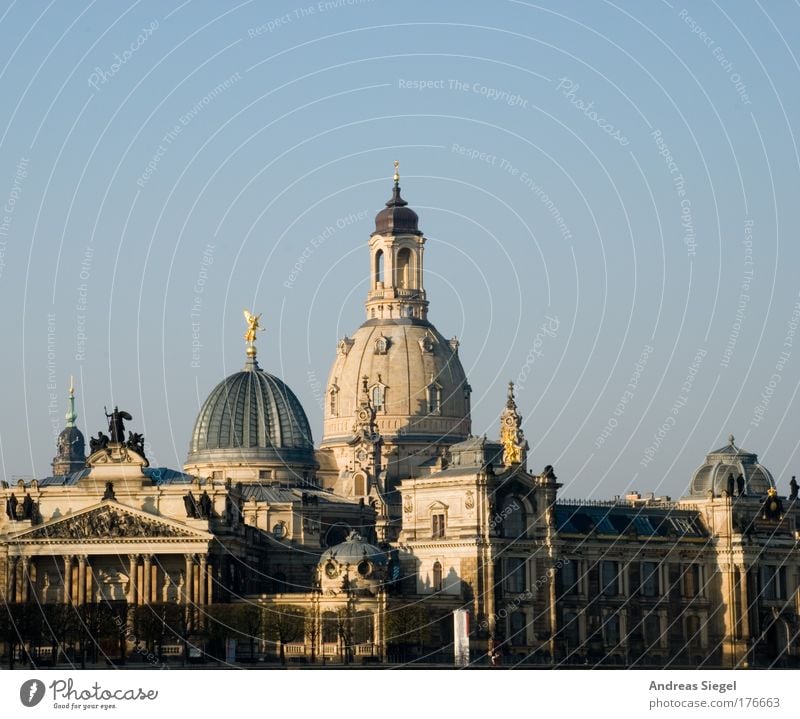 Guten Morgen Dresden Farbfoto Außenaufnahme Menschenleer Schatten Sonnenlicht Wolkenloser Himmel Schönes Wetter Stadt Stadtzentrum Altstadt Bauwerk