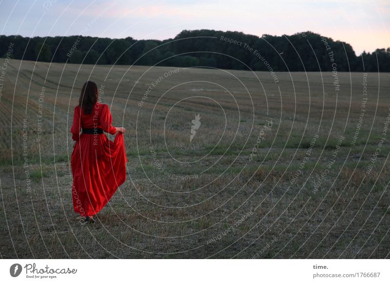 Abendspaziergang über's Feld feminin 1 Mensch Sonnenaufgang Sonnenuntergang Sommer Schönes Wetter Gras Wald Kleid Gürtel brünett langhaarig beobachten Bewegung