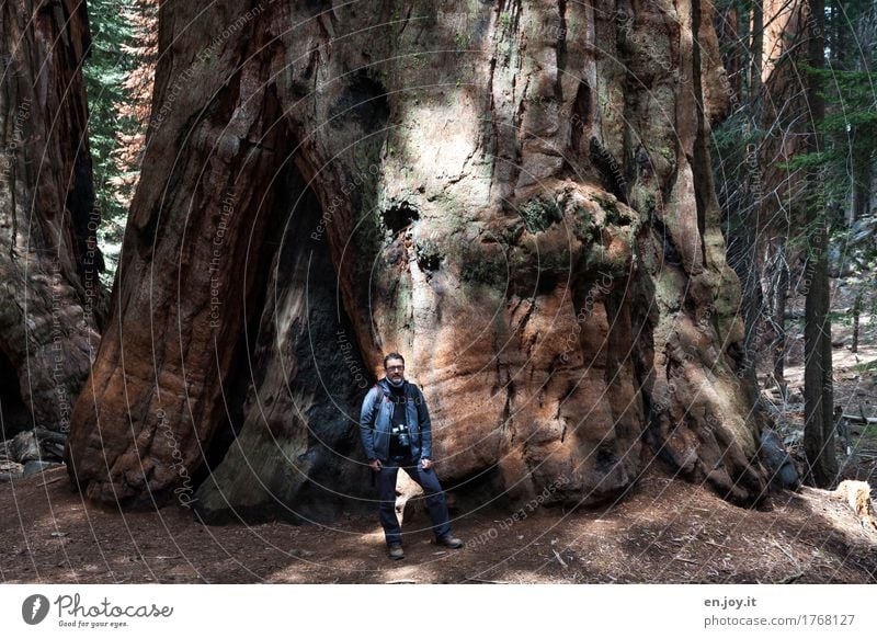 wer sind wir schon... Fotografieren Ferien & Urlaub & Reisen Tourismus Abenteuer Mann Erwachsene 1 Mensch 30-45 Jahre 45-60 Jahre Natur Landschaft Pflanze Baum