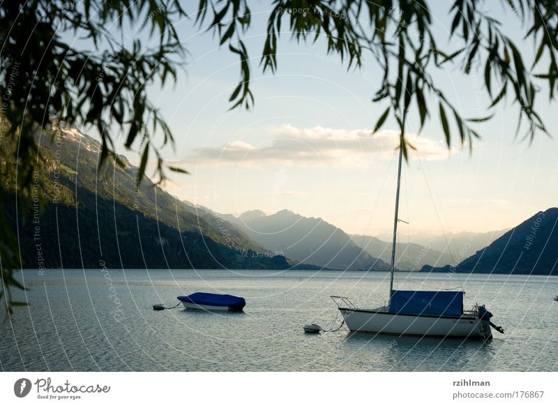 Boote auf dem Brienzersee Farbfoto Außenaufnahme Textfreiraum oben Abend Starke Tiefenschärfe Panorama (Aussicht) Natur Landschaft Wasser Himmel Alpen