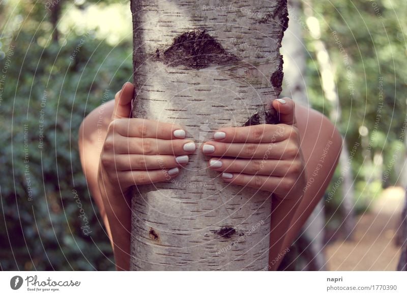 Komm, wir gehen in den Birkenwald... feminin Junge Frau Jugendliche Hand Fingernagel 1 Mensch 13-18 Jahre 18-30 Jahre Erwachsene Baum Park Wald berühren