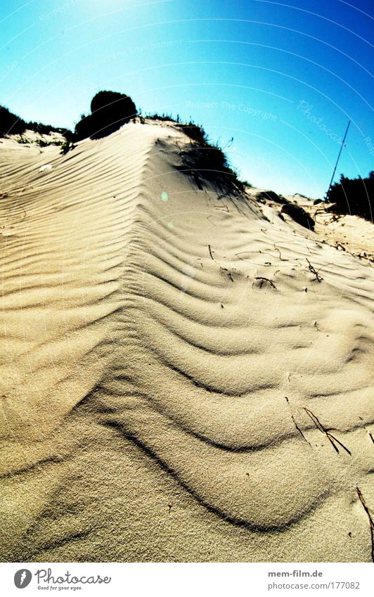 betreten verboten es trenc Mallorca dühne Sand Ferien & Urlaub & Reisen Strand fußabdruck trocken Dürre heiß glühend transpirieren dehydrieren Sommer