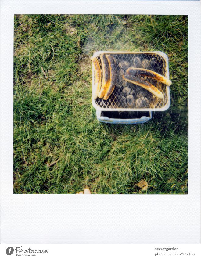 jetzt gehts um die wurst! Lebensmittel Fleisch Wurstwaren Ernährung Mittagessen Picknick Grillen Grillrost Grillkohle Grillsaison Camping Sommer Umwelt Natur