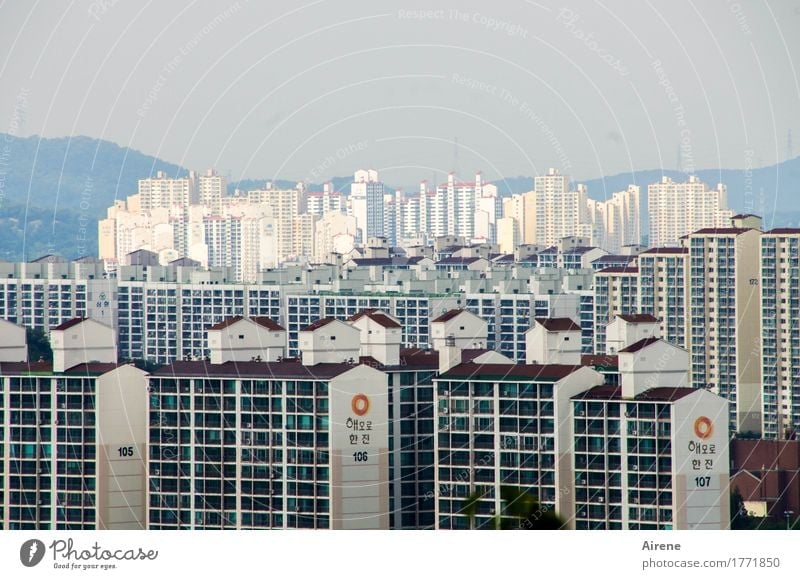 schöne Aussicht Süd Korea Asien Stadt Skyline Haus Hochhaus Wohnsiedlung Fassade Beton Glas Zeichen Schriftzeichen Ziffern & Zahlen Häusliches Leben bedrohlich