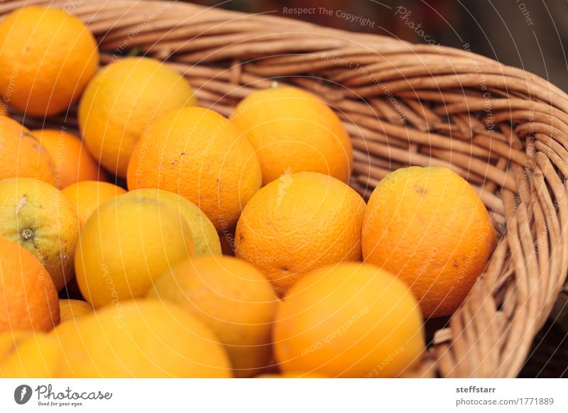 Frische Orangen in einem Obstkorb Lebensmittel Frucht Ernährung Frühstück Picknick Bioprodukte Vegetarische Ernährung Diät Gesundheit Wellness Pflanze gelb gold