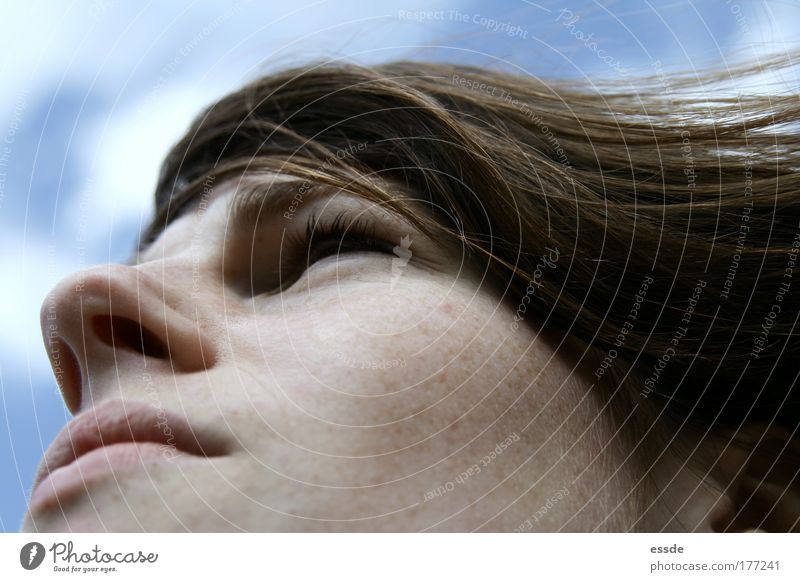 sturmgedanken Farbfoto Außenaufnahme Detailaufnahme Zentralperspektive Wegsehen feminin Junge Frau Jugendliche Kopf Haare & Frisuren Gesicht Nase Mund 1 Mensch