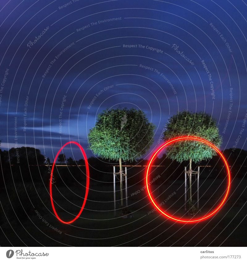 RING, RING Experiment Nacht Lichterscheinung Langzeitbelichtung Weitwinkel Erholung ruhig Kunst Bauchtänzer Baum Zeichen Ornament Kugel Bewegung drehen leuchten