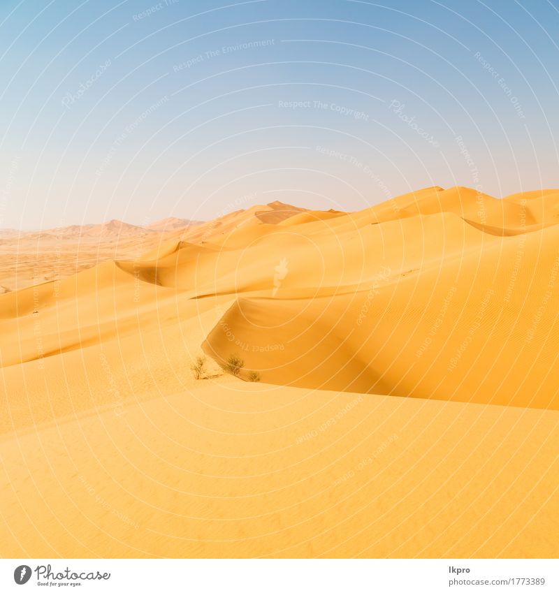 Outdoor-Sanddüne in Oman alten Wüste Rub al Khali schön Ferien & Urlaub & Reisen Tourismus Abenteuer Safari Sommer Sonne Natur Landschaft Himmel Horizont Park