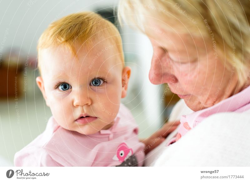 Omas Liebling Mensch feminin Baby Frau Erwachsene Weiblicher Senior Großmutter 2 0-12 Monate 45-60 Jahre tragen Umarmen Zusammensein grau rosa Zufriedenheit