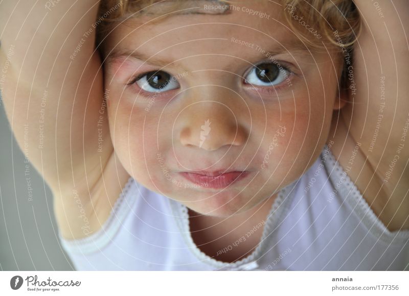 3 Jahre Leben Farbfoto Innenaufnahme Porträt Blick Blick in die Kamera Kind Kleinkind Mädchen 1 Mensch 1-3 Jahre 3-8 Jahre Kindheit entdecken Lächeln Spielen