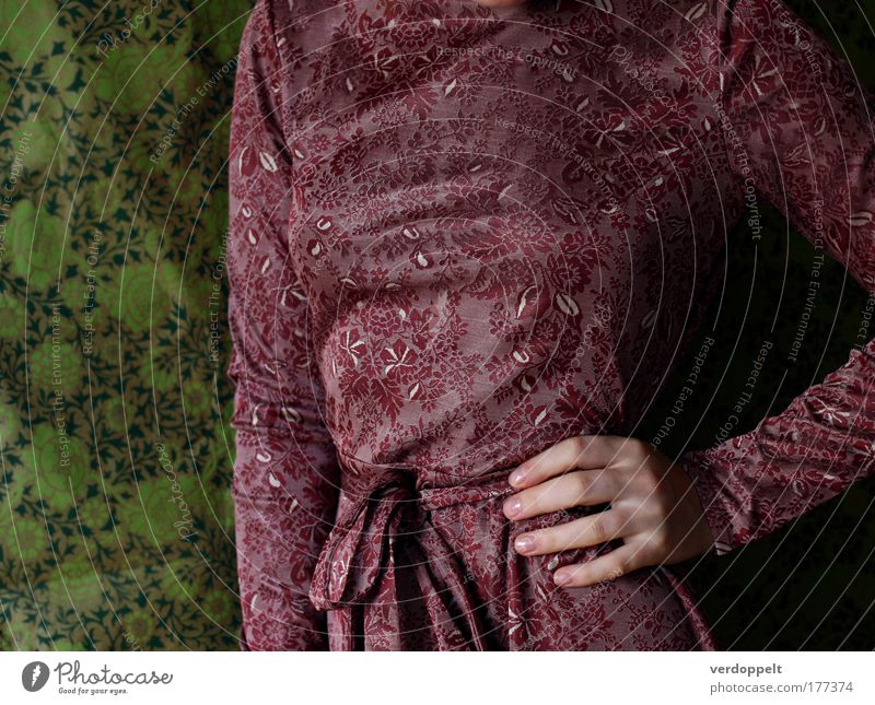 Mauerblümchen Muster Kleid Tapete grün rot Hand Taille altehrwürdig Gürtel Farbe Mode Stil elegant schön feminin retro Bekleidung Frau Brust Tag