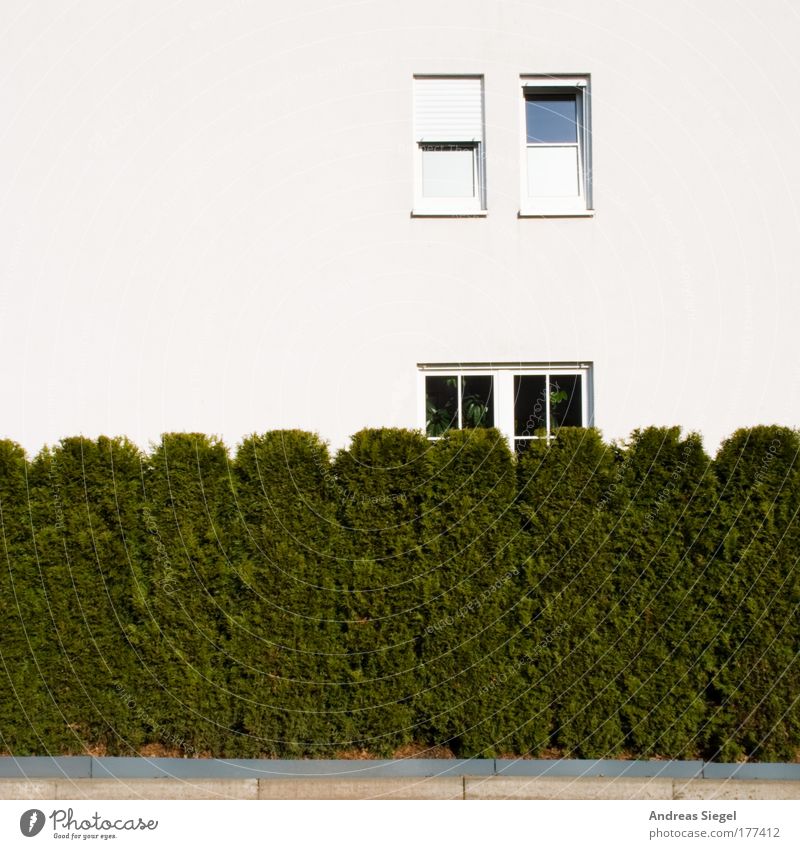 Heckenfenster Farbfoto Außenaufnahme Menschenleer Textfreiraum links Textfreiraum oben Textfreiraum unten Tag Lifestyle Design Häusliches Leben Wohnung Haus