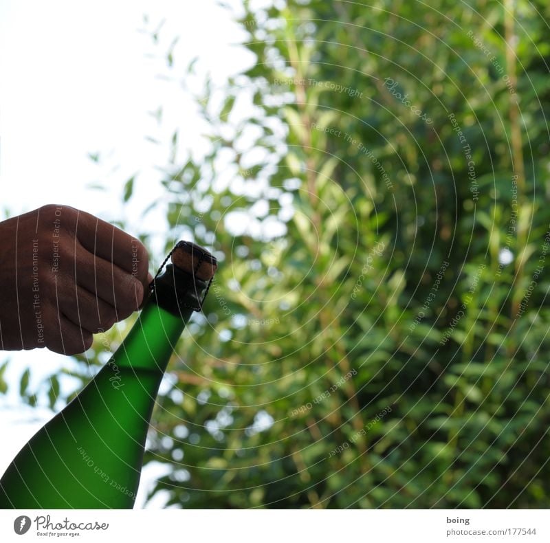 plopp Außenaufnahme Getränk trinken Sekt Prosecco Champagner Perlwein Flasche Reichtum Alkohol Garten Feste & Feiern Geburtstag Preisverleihung Champagnerdusche