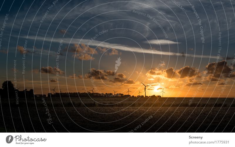 Abends, am goldenen Deich... Ferien & Urlaub & Reisen Tourismus Energiewirtschaft Windkraftanlage Landschaft Himmel Wolken Sonnenaufgang Sonnenuntergang