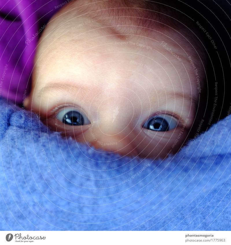 Huhu! Kind Baby Kleinkind Mädchen Junge Kindheit Kopf Gesicht Auge 1 Mensch 0-12 Monate 1-3 Jahre Bekleidung Stoff Bewegung entdecken fangen frieren liegen