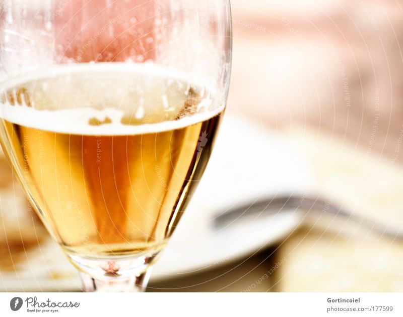 Speisen wie bei Königs Abendessen Getränk Erfrischungsgetränk Alkohol Bier Glas Bierschaum Bierglas Restaurant Feste & Feiern genießen gelb gold weiß edel