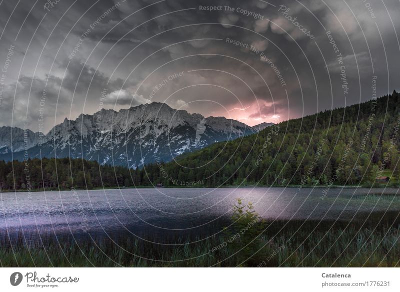 Klangfarbe | Gewitter Umwelt Landschaft Urelemente Wasser Gewitterwolken Sommer Wind Blitze Schilfrohr Nadelwald Alpen See bedrohlich nass blau grau grün