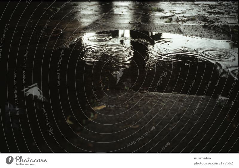 Tropfentraurigkeit Abend Dämmerung Silhouette Reflexion & Spiegelung Low Key Kunst Umwelt Wasser Wassertropfen Sommer schlechtes Wetter Regen Platz Hof