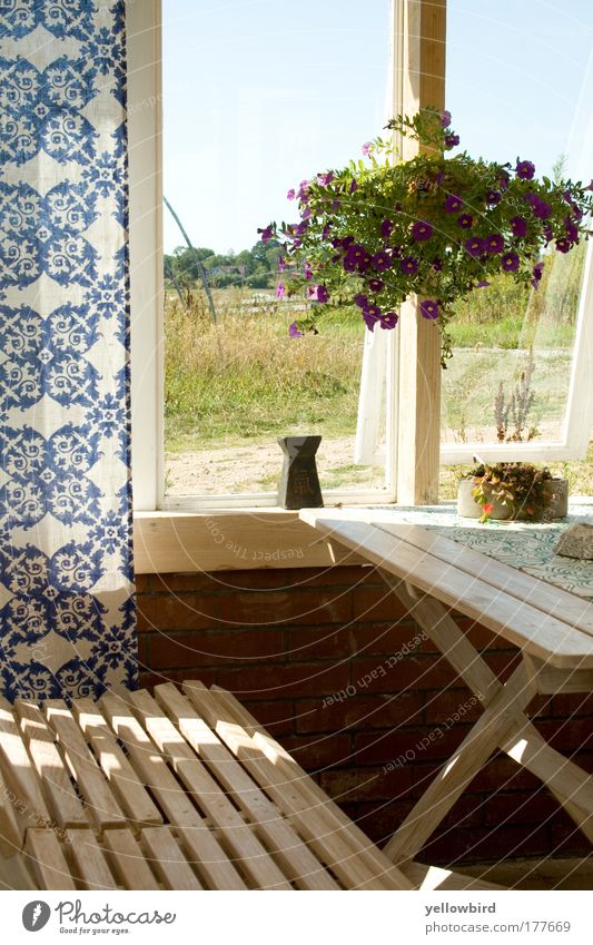 Schwedische Idylle Design Ferien & Urlaub & Reisen Innenarchitektur Dekoration & Verzierung Stuhl Raum Restaurant ausgehen Fenster Blumenstrauß beobachten