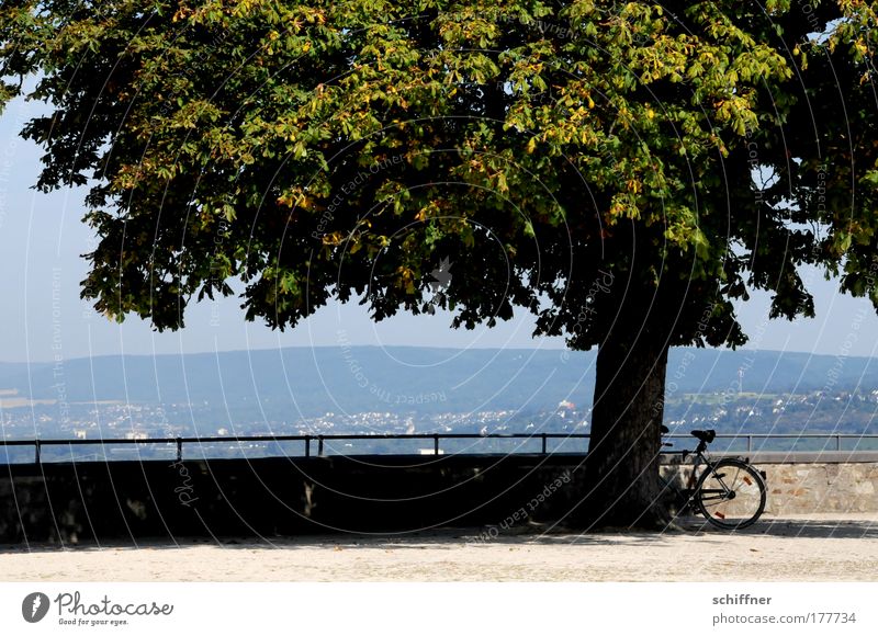 Schattenparker Licht Silhouette Sonnenlicht Baum Idylle Fahrrad Geländer Rad Landschaft Aussicht Koblenz Ehrenbreitstein Festung Mauer