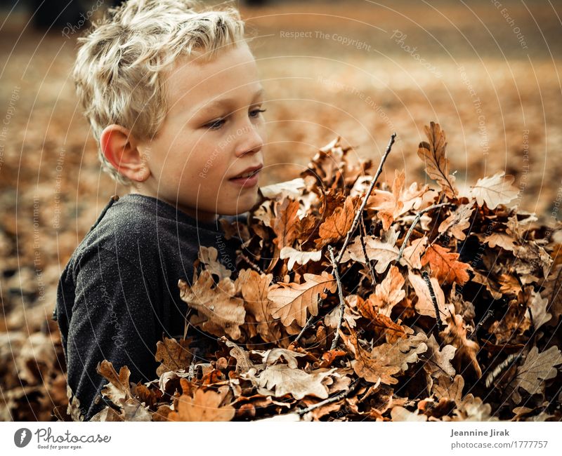 Junge liegt im Herbstlaub Erntedankfest Kindheit 1 Mensch 8-13 Jahre Umwelt Natur Blatt Park Spielen leuchten toben blond Gesundheit kuschlig Wärme Freude