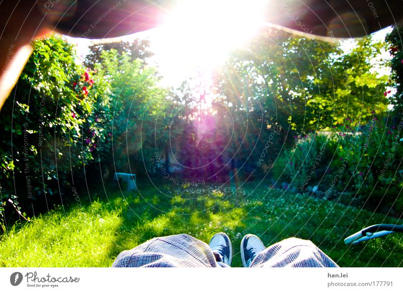 Im Garten Farbfoto mehrfarbig Außenaufnahme Tag Licht Sonnenlicht Sonnenstrahlen Gegenlicht Zentralperspektive Halbprofil Beine Fuß 1 Mensch Natur Gras Park