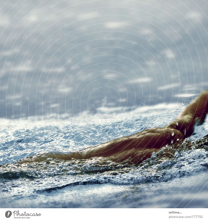 Der Kraulknappe Schwimmer schwimmen Kraulen Kraulstil Wasser Meer Sport Schwimmbad Rücken Bewegung Freizeit & Hobby Kraulstil schwimmen Erfrischung Sommer