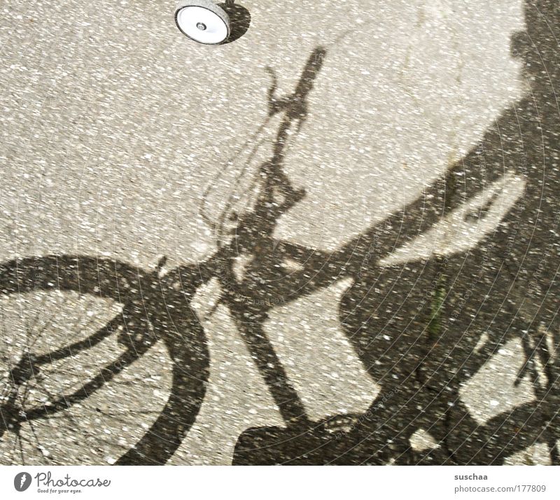 ganz lässig einen abradeln .. Gedeckte Farben Detailaufnahme Tag Licht Schatten Sonnenlicht Verkehrsmittel Fahrradfahren Straße Wege & Pfade Beton Gelassenheit