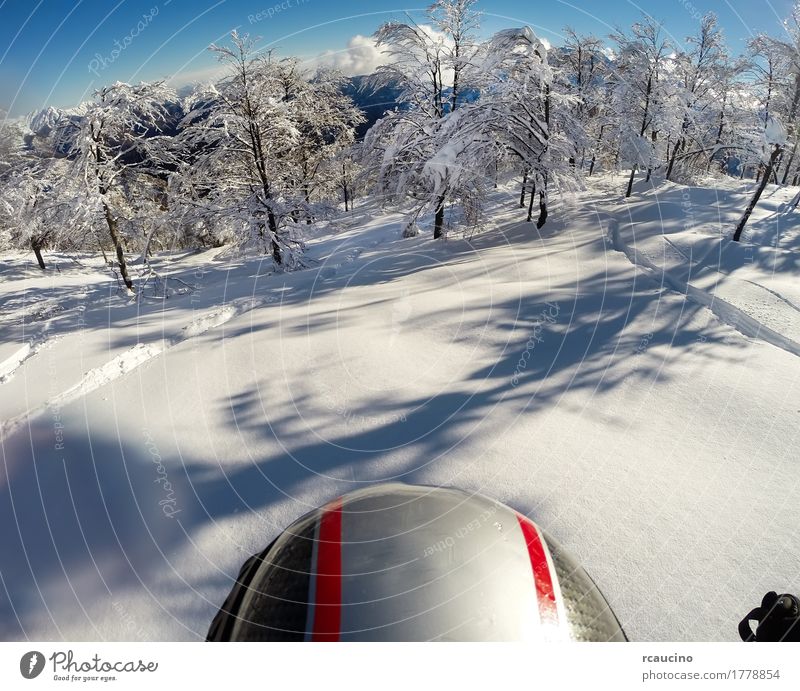 Skifahren im Neuschnee. POV mit Action-Cam auf dem Helm. Freude schön Freiheit Winter Schnee Berge u. Gebirge Sport Mensch Mann Erwachsene Natur Landschaft Wald