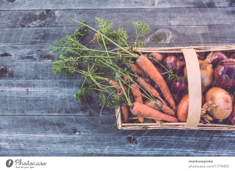frische bio ernte urban gardening Lebensmittel Gemüse Salat Salatbeilage Möhre Korb Zwiebel selbstversorgung selbstversorger Ernährung Mittagessen Picknick