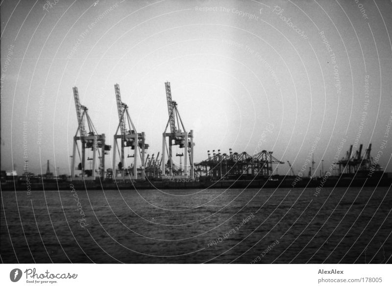die drei musketiere Handel Güterverkehr & Logistik Containerterminal Containerbrücke Kran Wasser Sommer Flussufer Elbe Hamburg Hafen Hafenstadt Industrieanlage