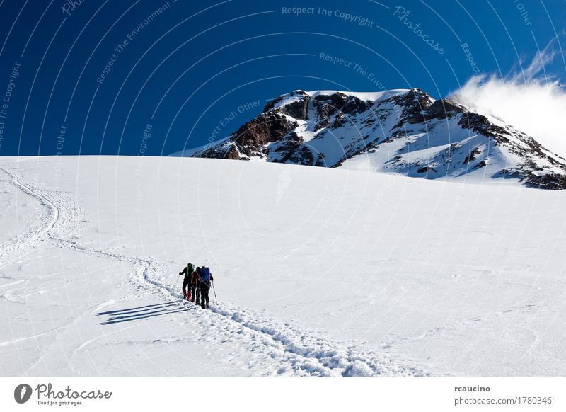 Bergsteiger, die auf Monte Rosa Glacier, Italien gehen Ferien & Urlaub & Reisen Abenteuer Expedition Winter Schnee Berge u. Gebirge Sport Mensch Menschengruppe