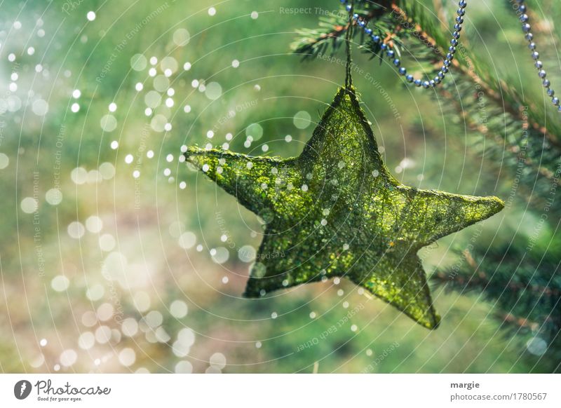 Sternschnuppen: grüner Stern mit Kette am Weihnachtsbaum umgeben von vielen Lichtern Feste & Feiern Weihnachten & Advent Silvester u. Neujahr Baum Grünpflanze