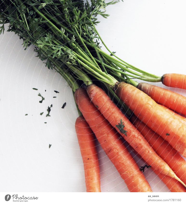 Frische Möhren Lebensmittel Gemüse Karotte Möhrenbund Wurzelgemüse Ernährung Mittagessen Büffet Brunch Bioprodukte Vegetarische Ernährung Diät Fasten Lifestyle