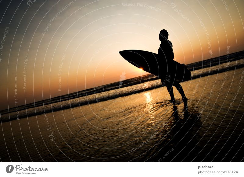 SunsetStar schön Sommer Strand Meer Wasser Himmel Horizont ästhetisch sportlich Klischee Romantik Surfen Portugal Sonnenuntergang pischare Abenddämmerung Surfer