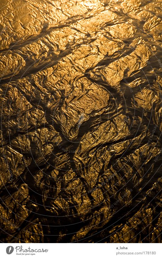 crossing the lines Wellen Sand Wasser Küste Strand Meer Menschenleer Linie Streifen glänzend leuchten nass schön gold Bewegung bizarr chaotisch einzigartig