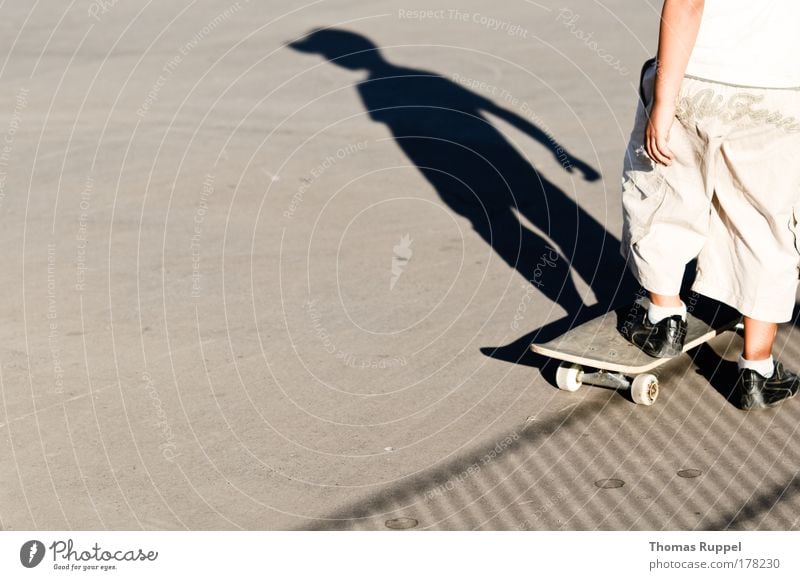 Skaten Farbfoto Gedeckte Farben Außenaufnahme Textfreiraum links Textfreiraum unten Tag Schatten Silhouette Wegsehen Freizeit & Hobby Skateboard Skateboarding