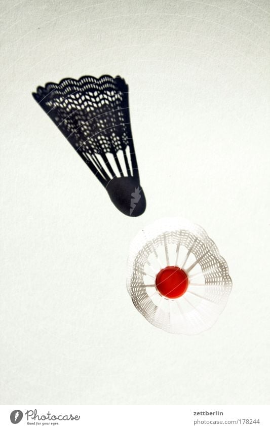 Federball badminton detail ding bild abbild schatten federball freizeit gegenstand innenaufnahme sachaufnahme dimension spiel sport wohnen textfreiraum