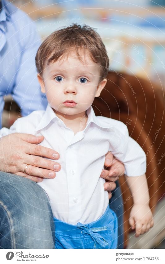 Erstaunter kleiner Junge steht in weißem Hemd und blauer Hose, die Hände des Vaters stützen ihn Gesicht Kind Mensch Mann Erwachsene Kindheit Hand 2 1-3 Jahre