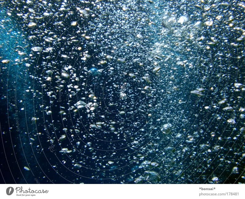 bubbles Ferien & Urlaub & Reisen Ferne tauchen Natur Urelemente Wasser Meer Rotes Meer atmen entdecken dunkel nass natürlich oben blau Wachsamkeit Neugier