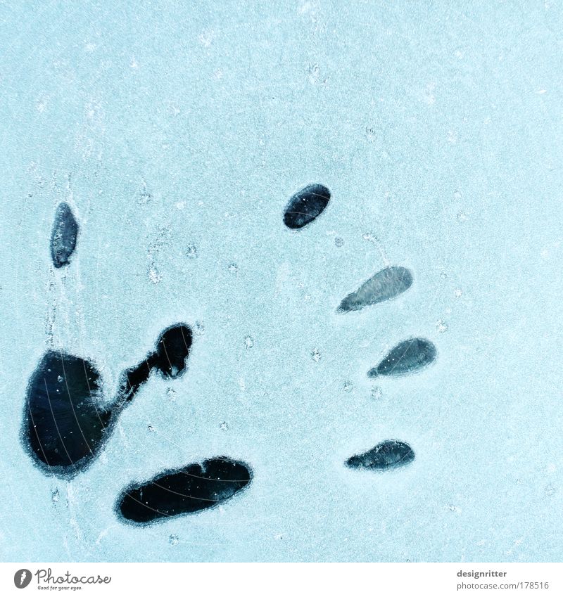 Eiskaltes Händchen Farbfoto Außenaufnahme Nahaufnahme Detailaufnahme Textfreiraum rechts Textfreiraum oben Winter Schnee Hand Finger Klima Wetter Frost