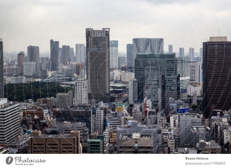 Tokios schwindelnde Höhen Lifestyle kaufen Reichtum Häusliches Leben Wohnung Tokyo Hauptstadt Stadtzentrum Hochhaus Bankgebäude Wachstum außergewöhnlich