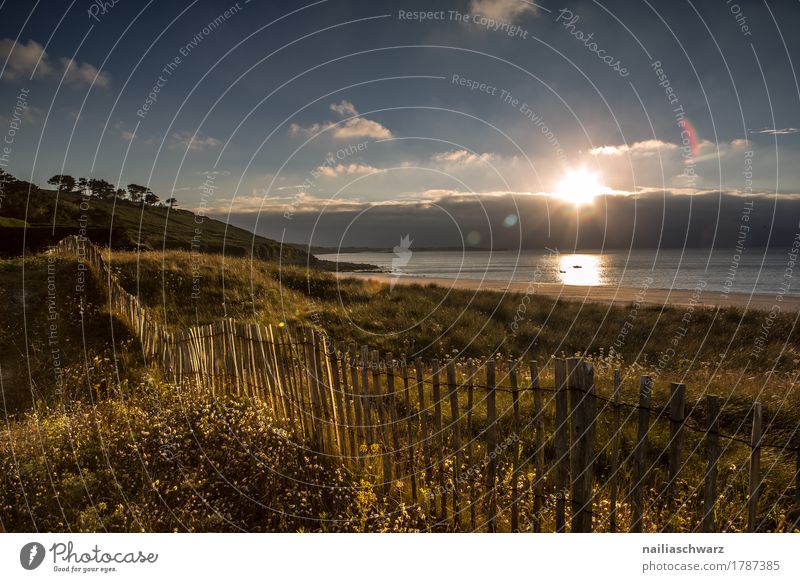 Sonnenuntergang am Strand in der Bretagne Meer Landschaft Horizont Sommer Herbst Schönes Wetter Pflanze Gras Küste Atlantik Zaun Holzzaun natürlich schön