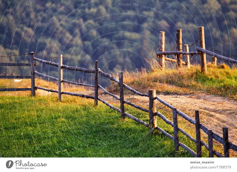 Ländliche Szene Septembers in den Karpatenbergen schön Sommer Berge u. Gebirge Umwelt Natur Landschaft Erde Sonnenaufgang Sonnenuntergang Herbst Baum Gras Wiese
