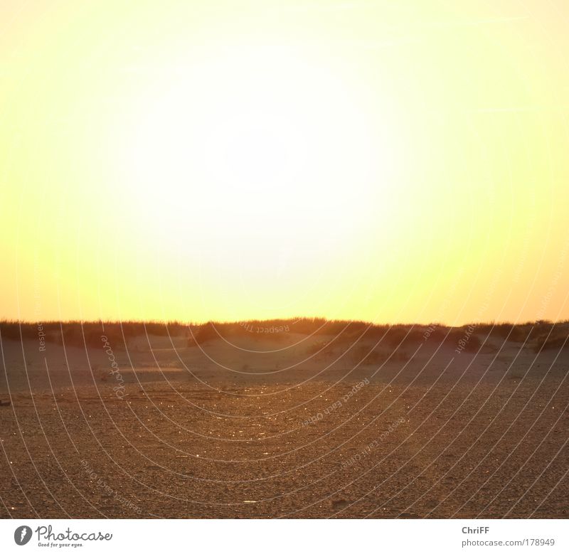 It burns... Ferien & Urlaub & Reisen Landschaft Sand Wolkenloser Himmel Schönes Wetter Wärme Dürre Gras Sträucher Dünengras Hügel Strand Nordsee Insel Amrum