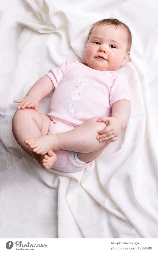 Baby girl looking at the camera Familie & Verwandtschaft 0-12 Monate weich rosa rein beautiful beauty birth blanket boy child child education childhood clean